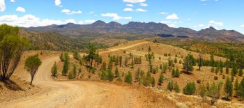 Pindan Tours Tag Along - Bunyeroo Valley - Flinders Ranges