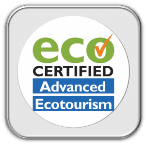 Our Eco logo