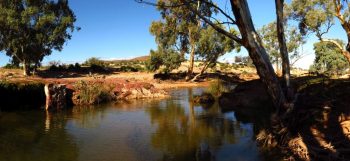 Pindan Tours Tag Along - Puttapa Springs - Beltana Station