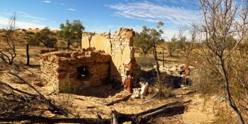 Annadale Stn - Madigan Line - Pindan Tours and 4WD Training