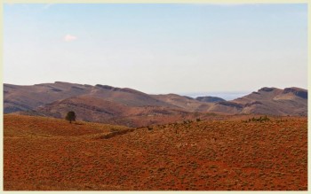 Chase Range Web tag along tours