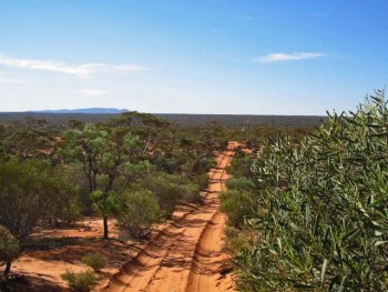 Tag Along Tours Googs Track 4WD Adventures