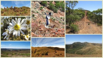 Half Day sm tag along tours