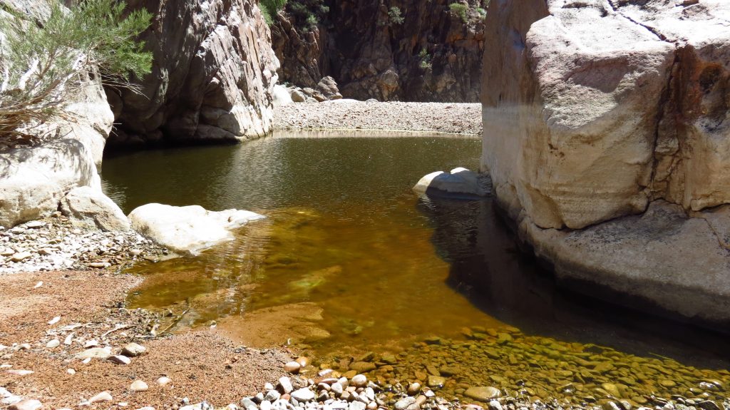 Nooldoonooldoona Waterhole Nooldoonooldoona Waterhole. Pindan Tours and 4WD Training
