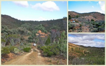 Photos1 Tag Along Tours Bendleby Ranges