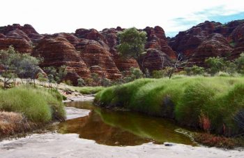 Piccaninny Gorge Walk WS Binns Track and Lake Argyle Tour - Pindan Tours
