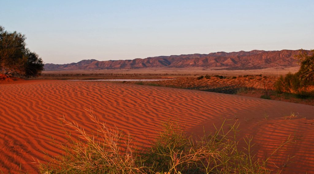 Sand Dunes at Yorkies Crossing No 2 Sand Dunes where the Outback meets the Flinders Ranges