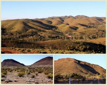 Willow Springs Web tag along tours