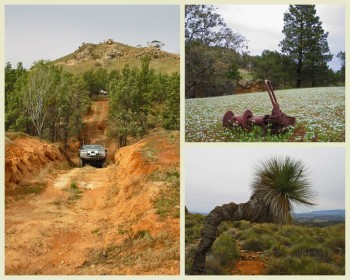 Worumba Web tag along tours